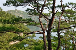 Korea, North vejrudsigt