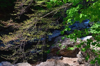 Korea, North vejrudsigt