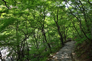 Észak-Korea időjárás-jelentés