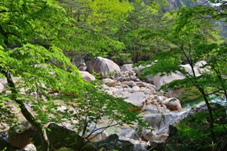 Korea, North vejrudsigt