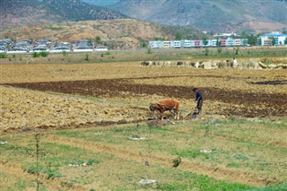 Kuzey Kore Hava tahmini
