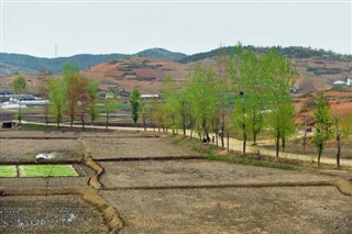 Korea, North weather forecast