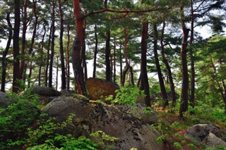 Korea, North vejrudsigt