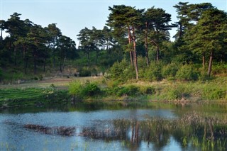 Korea, North vejrudsigt