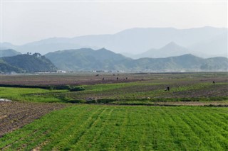 Korea, North weather forecast