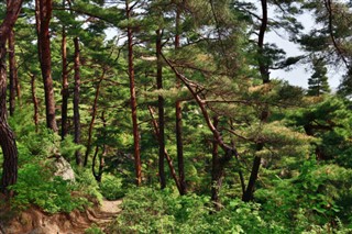 Észak-Korea időjárás-jelentés