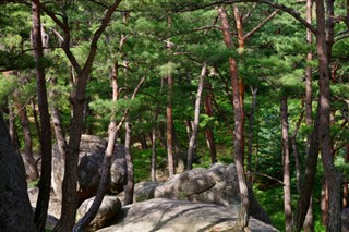 Korea, North vejrudsigt