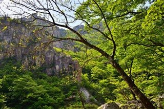 Korea, North vejrudsigt