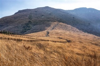 Güney Kore hava tahmini