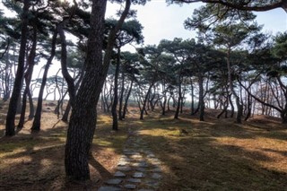 Sydkorea vejrudsigt