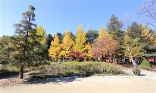 Sydkorea vejrudsigt