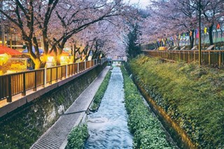 Güney Kore hava tahmini