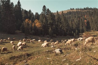 Kosova hava tahmini