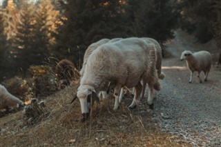Kosova hava tahmini