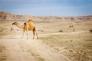 Kuwait vejrudsigt