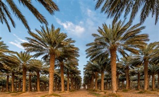 Kuwait vejrudsigt