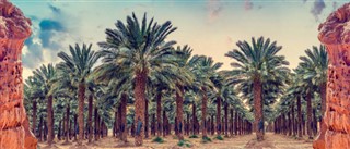Kuwait vejrudsigt
