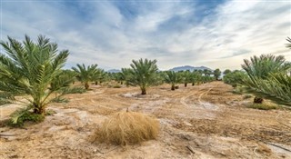 الكويت توقعات الطقس