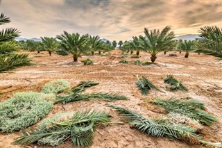 الكويت توقعات الطقس