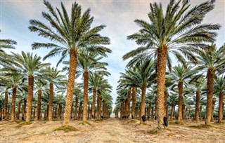 כווית תחזית מזג האוויר