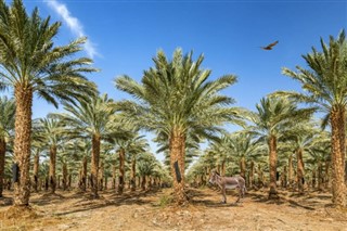 Kuwait pronóstico del tiempo