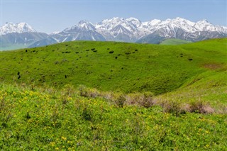 Kyrgyzstan weather forecast