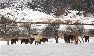 Kyrgyzstan weather forecast