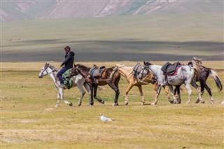 Kırgızistan hava tahmini