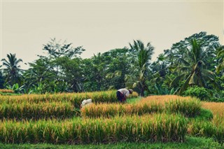 Laos pronóstico del tiempo