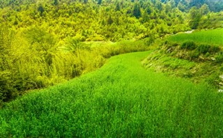 Laos hava tahmini