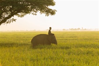 Laos hava tahmini