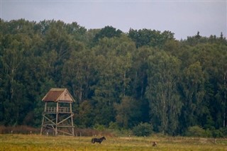 Lettonie prévisions météorologiques