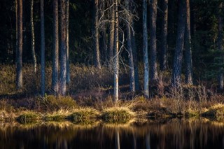 Letland vejrudsigt