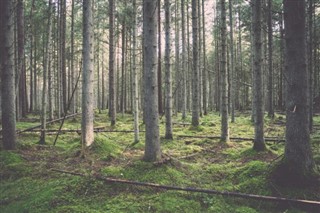 Letland vejrudsigt