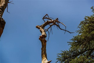 Lübnan hava tahmini