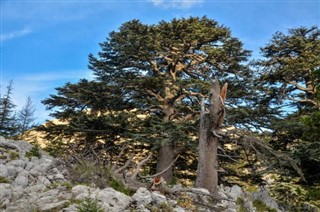 Lübnan hava tahmini