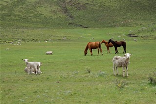 ليسوتو توقعات الطقس