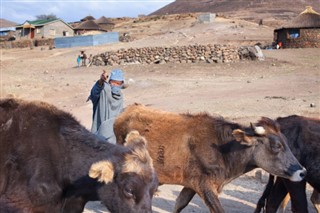 Lesotho hava tahmini