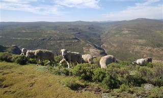 Lesotho prévisions météorologiques