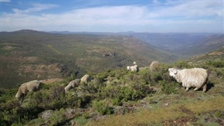 Lesotho hava tahmini