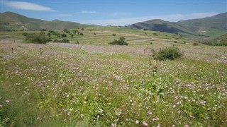 Lesotho hava tahmini