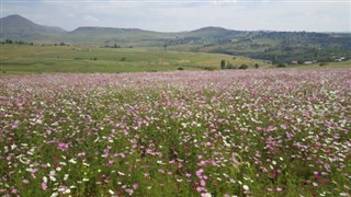Lesotho hava tahmini