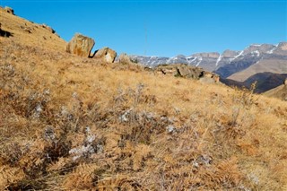 Lesotho prévisions météorologiques