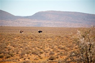 Lesotho vejrudsigt