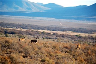 Lesotho időjárás-jelentés