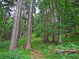 Liechtenstein időjárás-jelentés