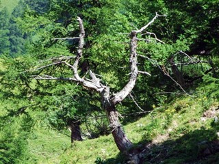 Liechtenstein vejrudsigt