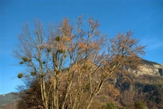 Liechtenstein vejrudsigt