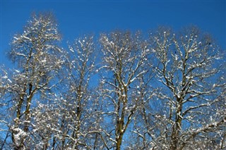 Liechtenstein weather forecast
