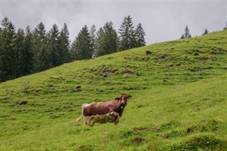 Liechtenstein időjárás-jelentés